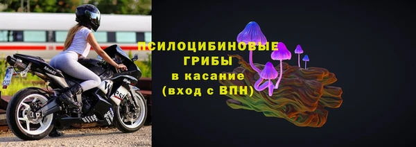 apvp Балабаново