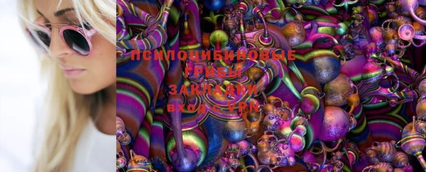apvp Балабаново